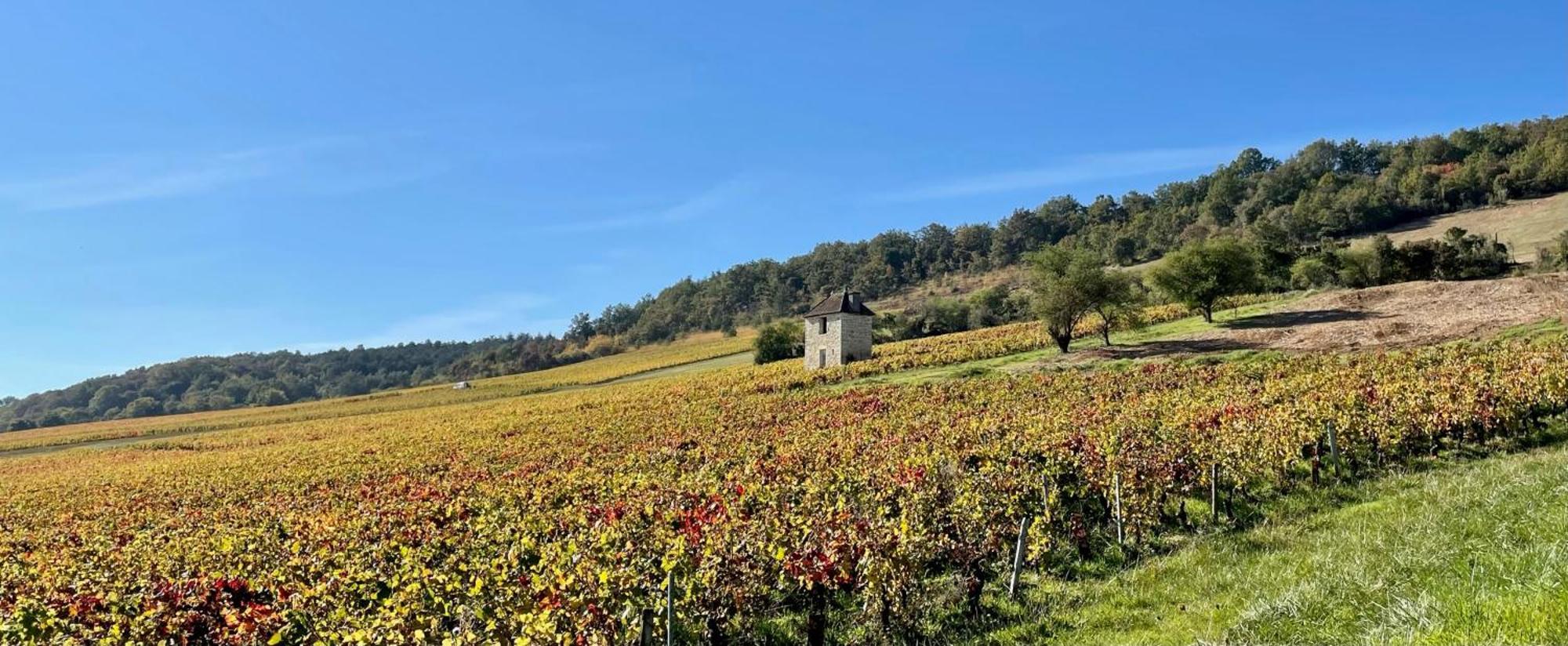 Bed and Breakfast Cote Park Givry  Екстер'єр фото
