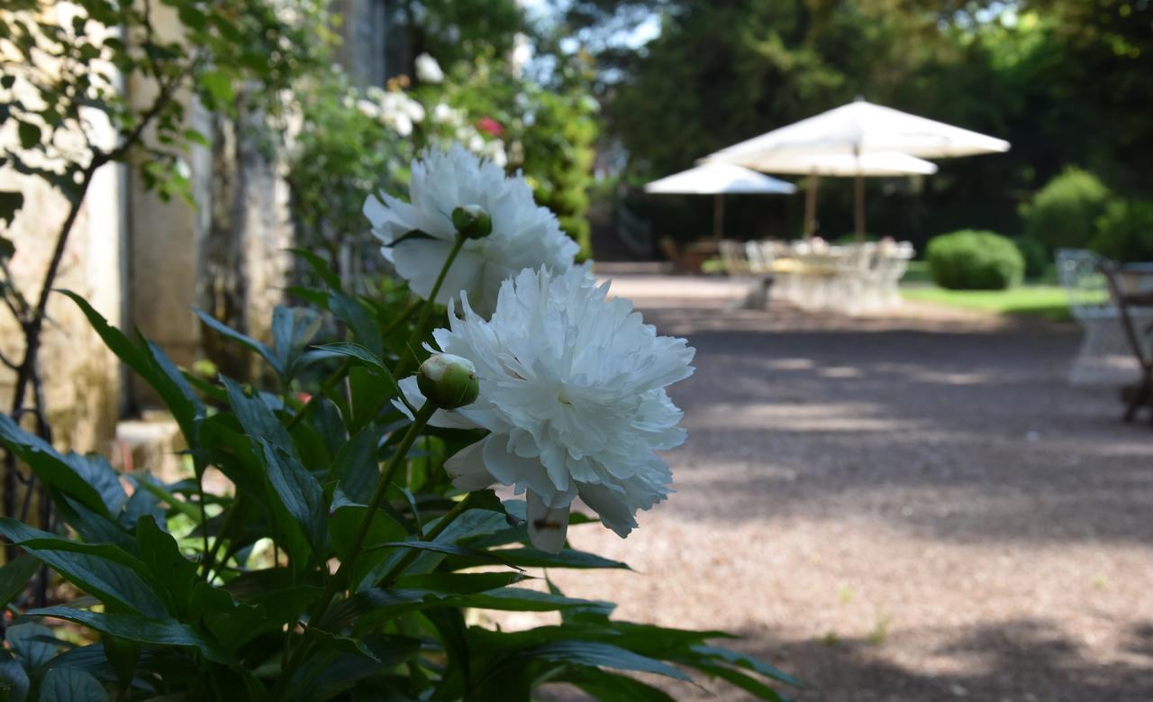 Bed and Breakfast Cote Park Givry  Екстер'єр фото